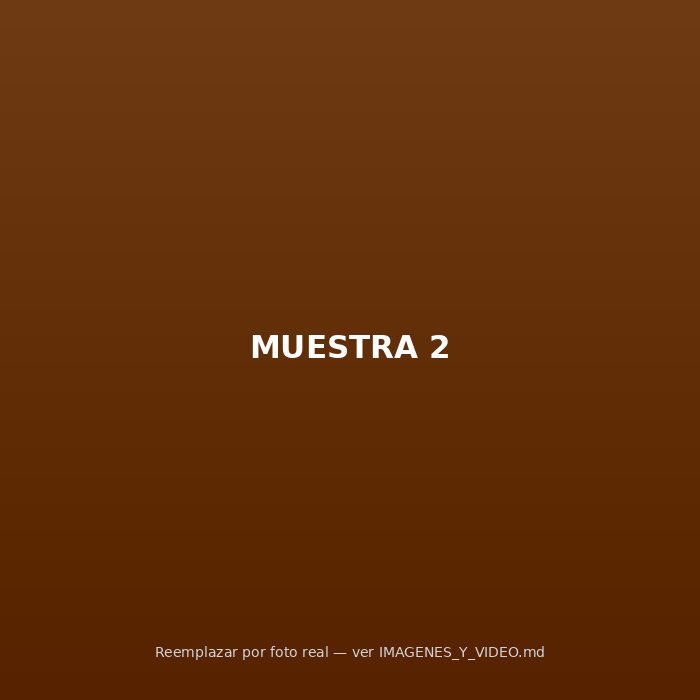 Dinámica de muestra 2
