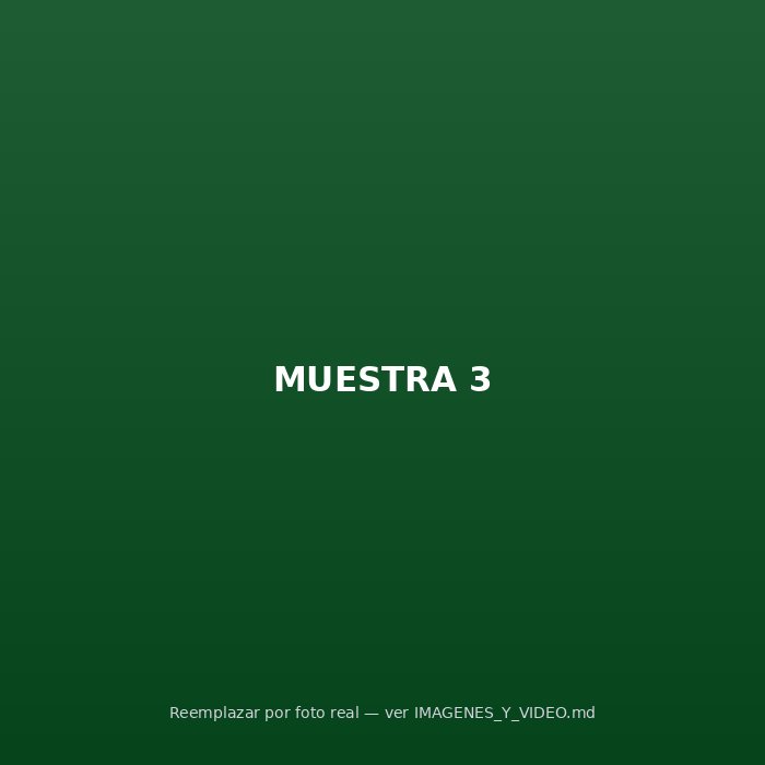 Dinámica de muestra 3